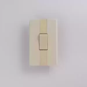 Interruptor sencillo sin piloto marfil 901