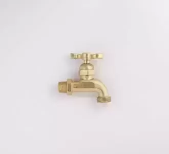 Llave terminal de manguera 1/2