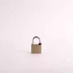 Candado de laton (gato)